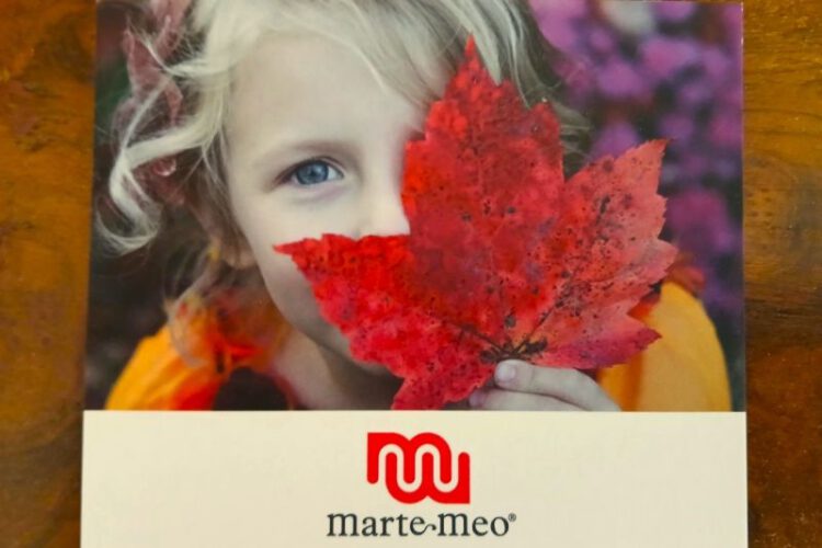Marte Meo 2026