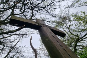 Zielpunkt vieler Spaziergänge