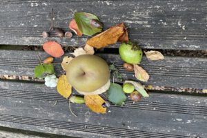 Herbst-Stilleben II