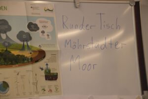 Planspiel Wiedervernässung eines Moores
