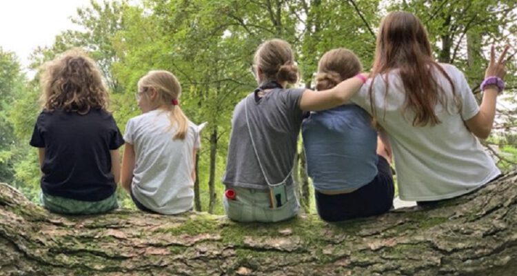 Bild Hochbegabung 2026