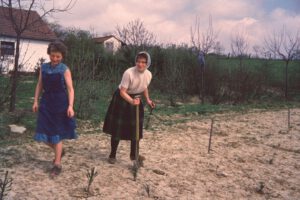 1962 Frau Therese und Frau Anna beim Bäume pflanzen