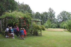 Pergola und Rosen