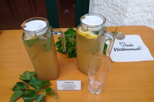 Selbstgemachte Limonade